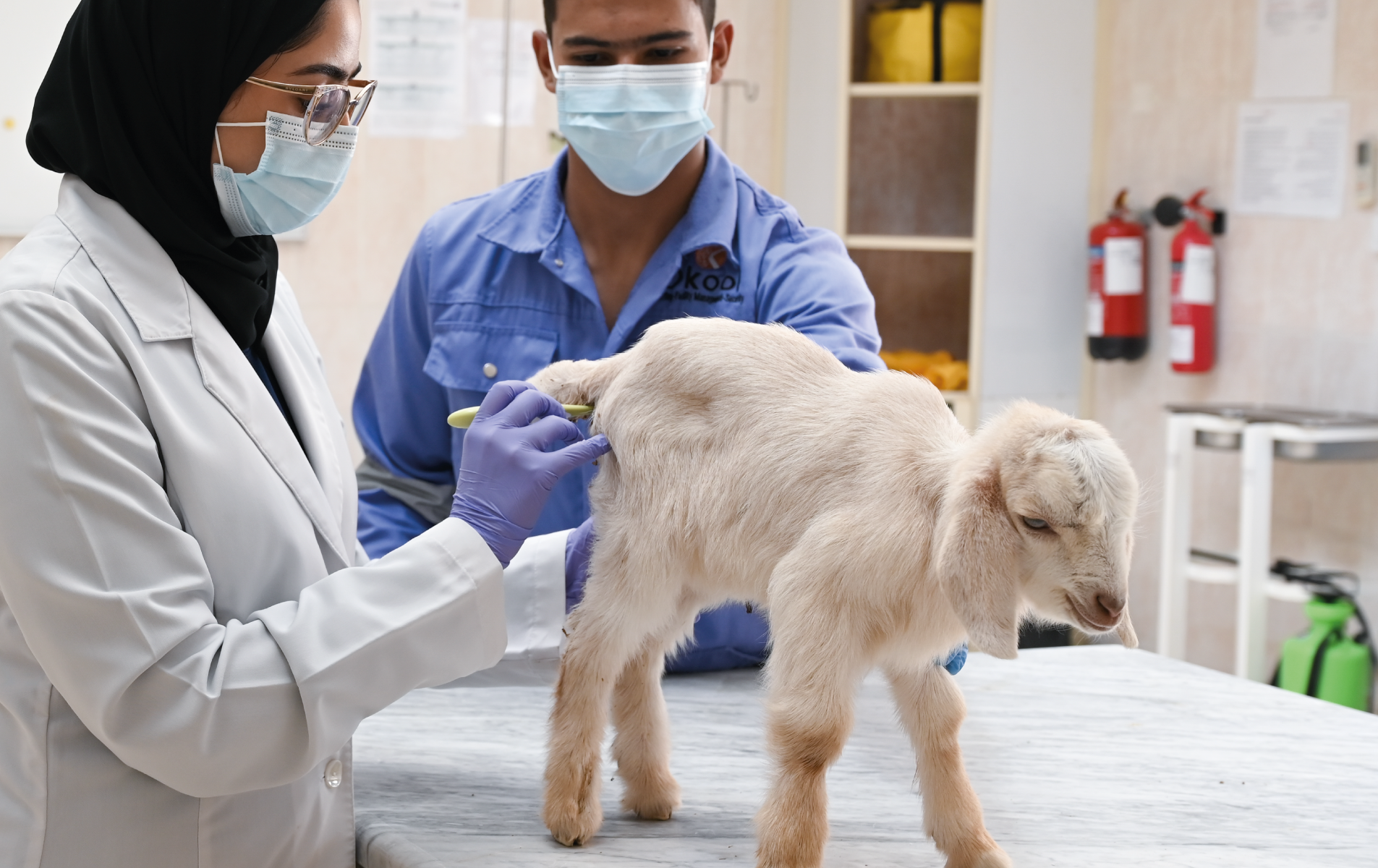 Resolution Regulating Veterinary Medical Practices 